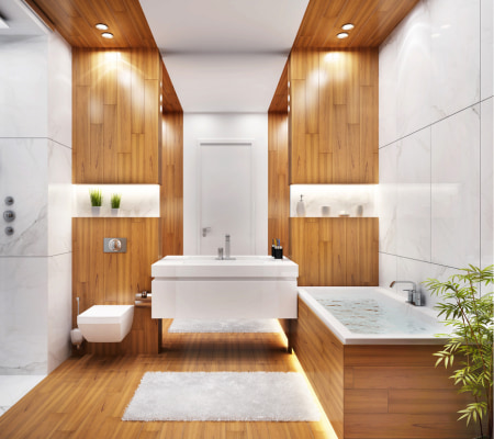 Bathroom Design Ideas